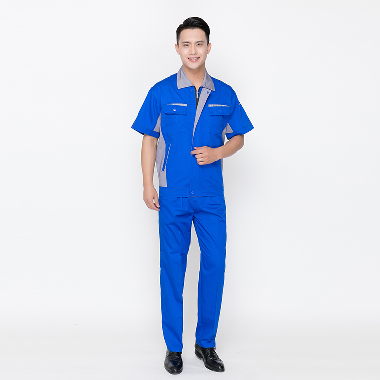 è³èè²/ä¸­ç°è²