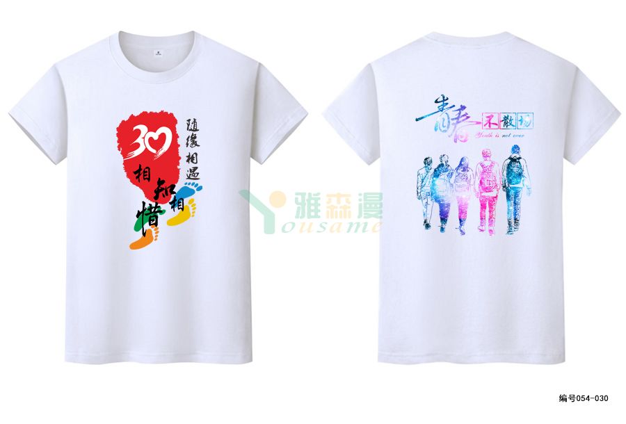 30年同学聚会T恤图片：城关中学1995届案例