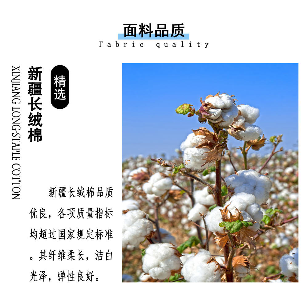 新疆长绒棉T恤（正肩微阔）(图2)