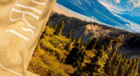 宁波Polo衫定制厂家怎么选？资